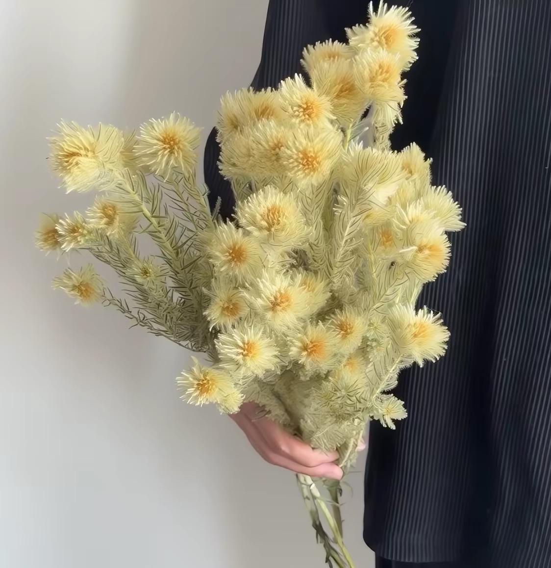 金鹅绒